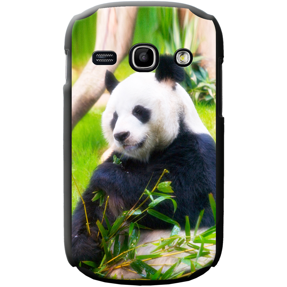 Pandra bear teen model Recollect Pandra bear teen model have